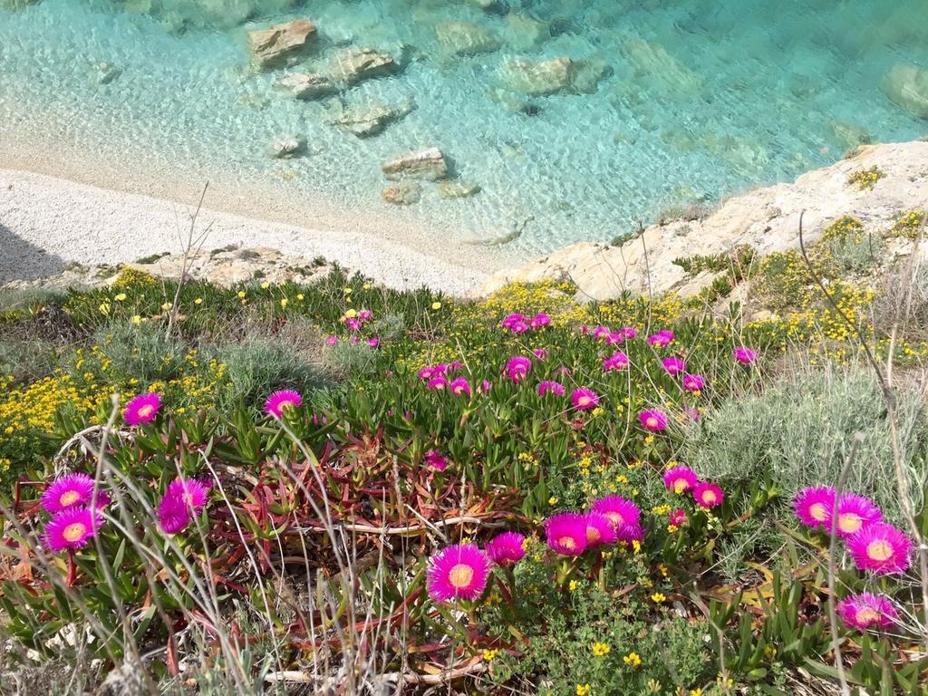 Отель Experience Relais " Il Termine Elba " Рио-Марина Экстерьер фото